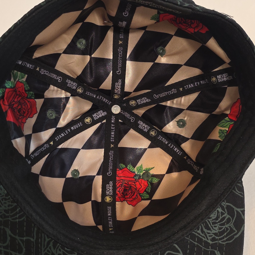 Grassroots California NEVERSUMMER Grateful Dead Stanley Mouse Mandolin Skeleton - Picture 8 of 10
